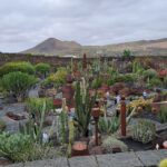 Lanzarote - Giardino dei Cactus - Isole Canarie